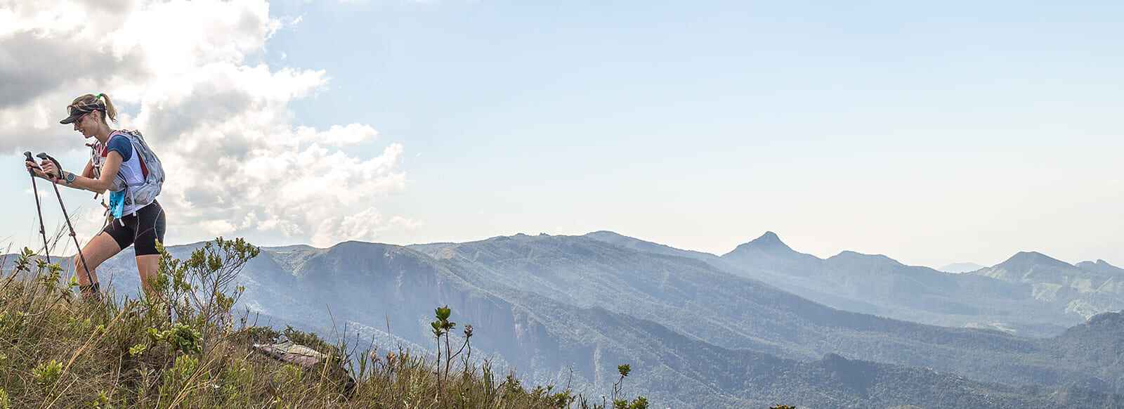 campos_11